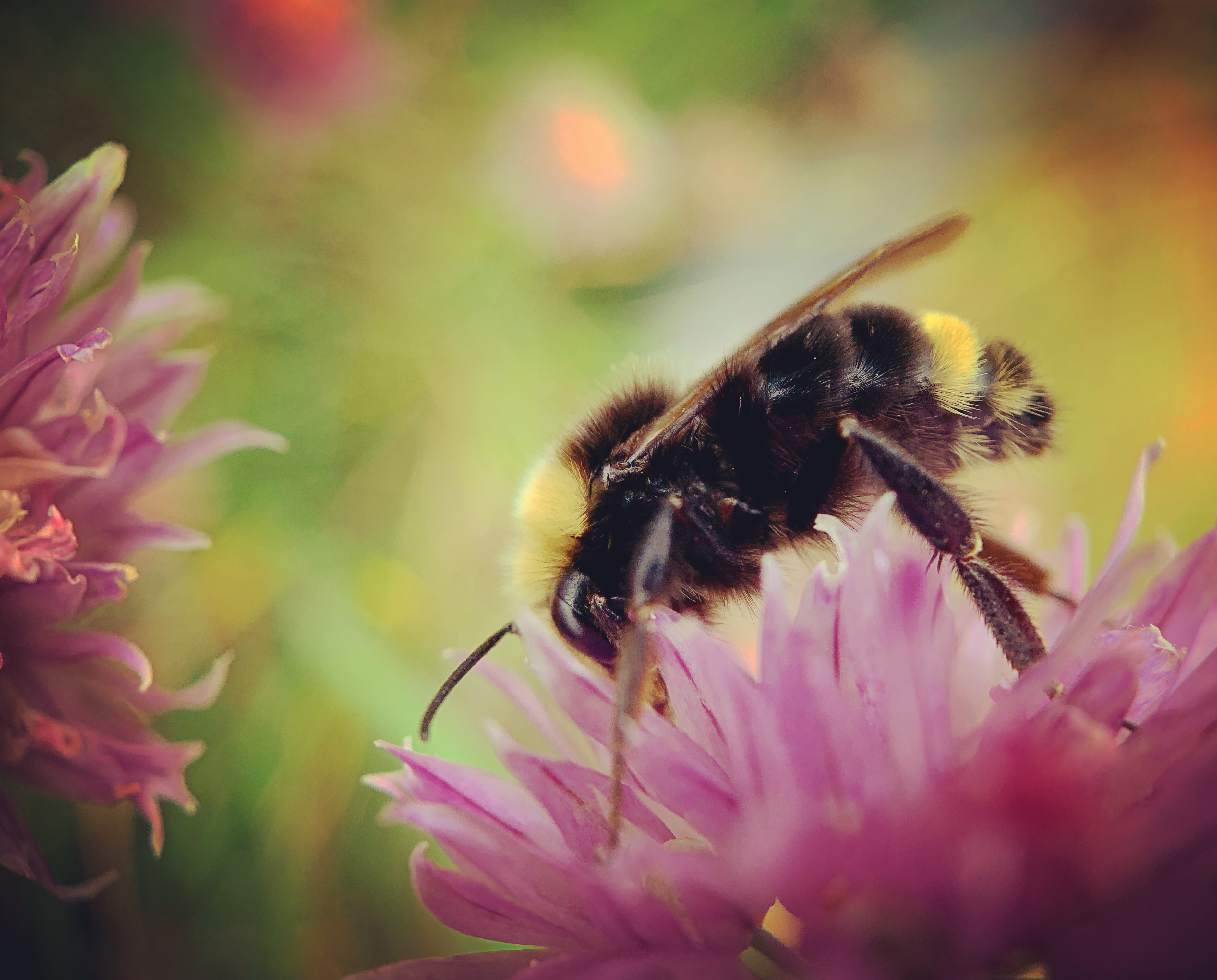 D516A709-B2B0-4A0F-8052-D12A5AB364E9